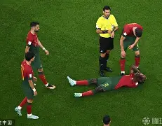 大发娱乐官网-德国阵容再添伤号，意大利盖格巴无缘欧预赛