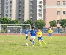 大发娱乐-韩国队凭借精湛技术在足球场上取得胜利的简单介绍